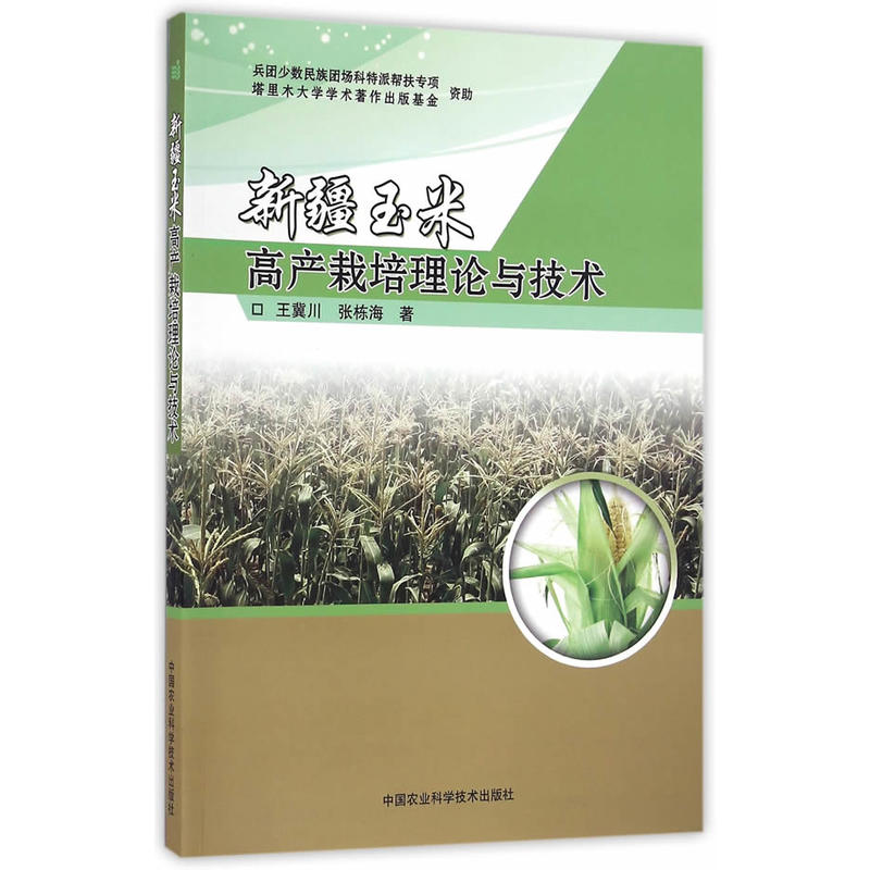 新疆玉米高产栽培理论与技术