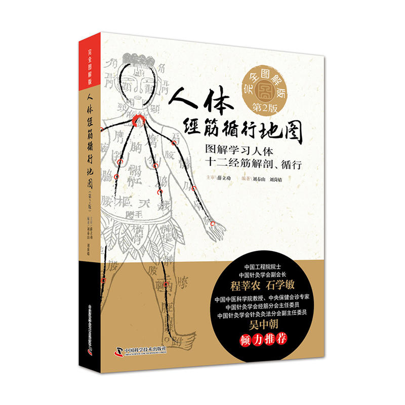 人体经筋循行地图-图解学习人体十二经筋解剖.循行-第2版-完全图解版