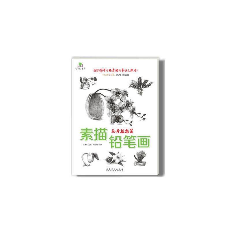 素描铅笔画   花卉植物篇