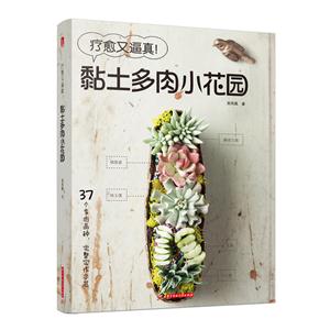 疗愈又逼真:黏土多肉小花园-技术教育社区