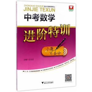 中考数学进阶特训-技术教育社区