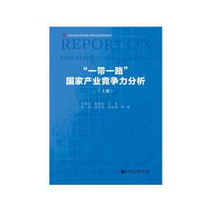 一带一路国家产业竞争力分析-(全二册)-技术教育社区