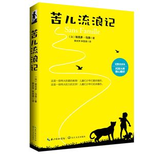 苦儿流浪记-技术教育社区