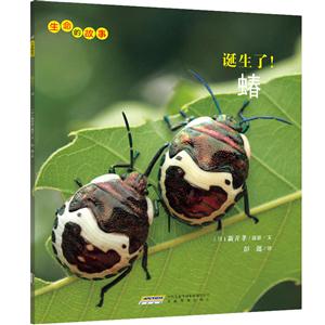 诞生了!蝽-生命的故事-技术教育社区