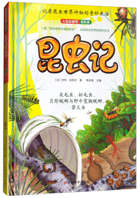 人生必读书百科系-记录昆虫世界神秘的奇妙生活:昆虫记2(精装彩绘本)