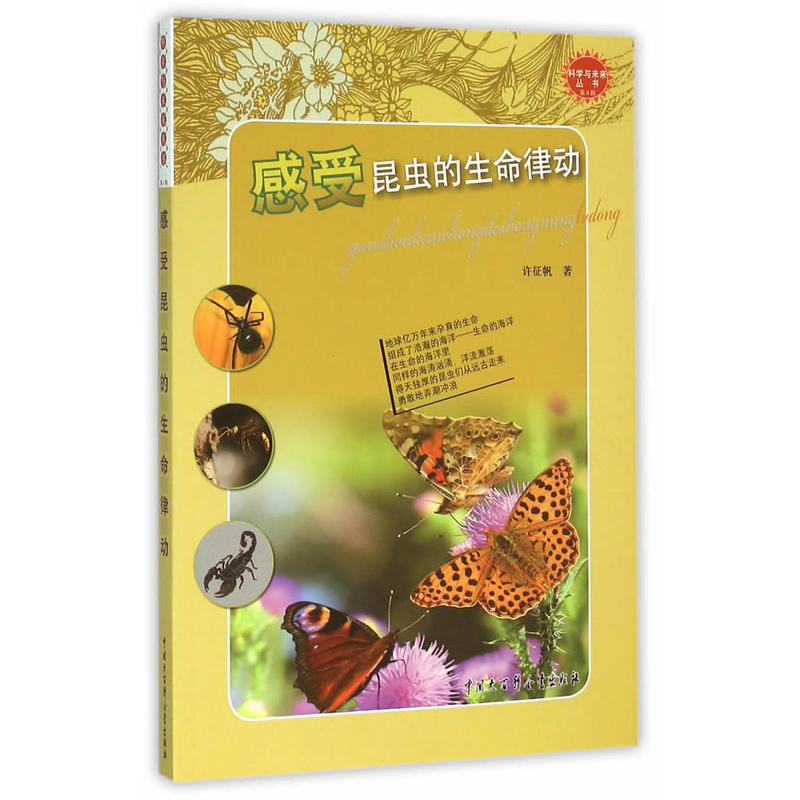 感受昆虫的生命律动