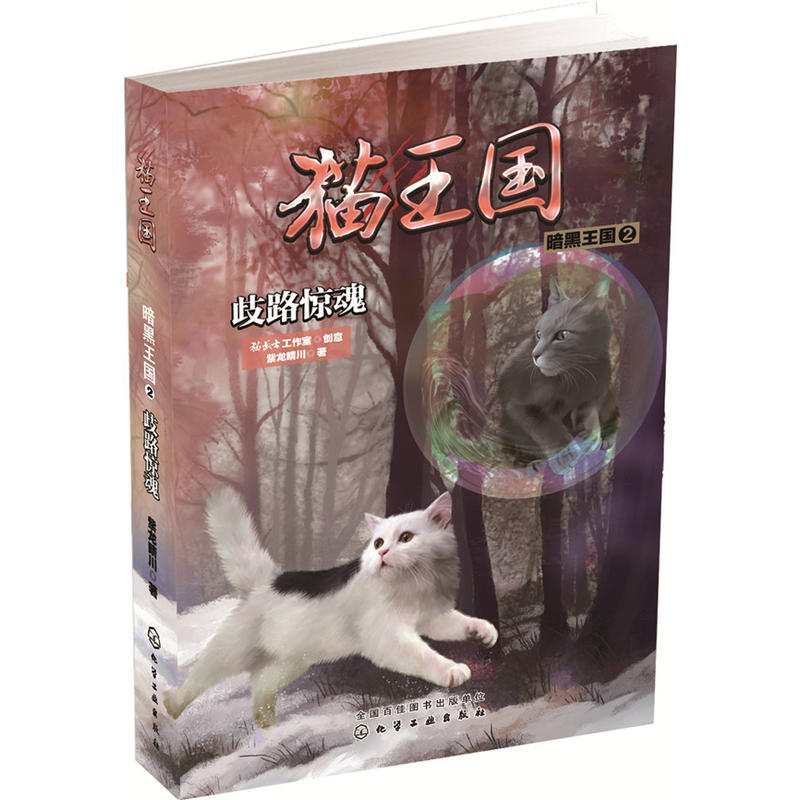 歧路惊魂/猫王国.暗黑王国2