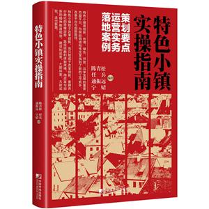 特色小镇实操指南-策划要点运营实务落地案例-技术教育社区