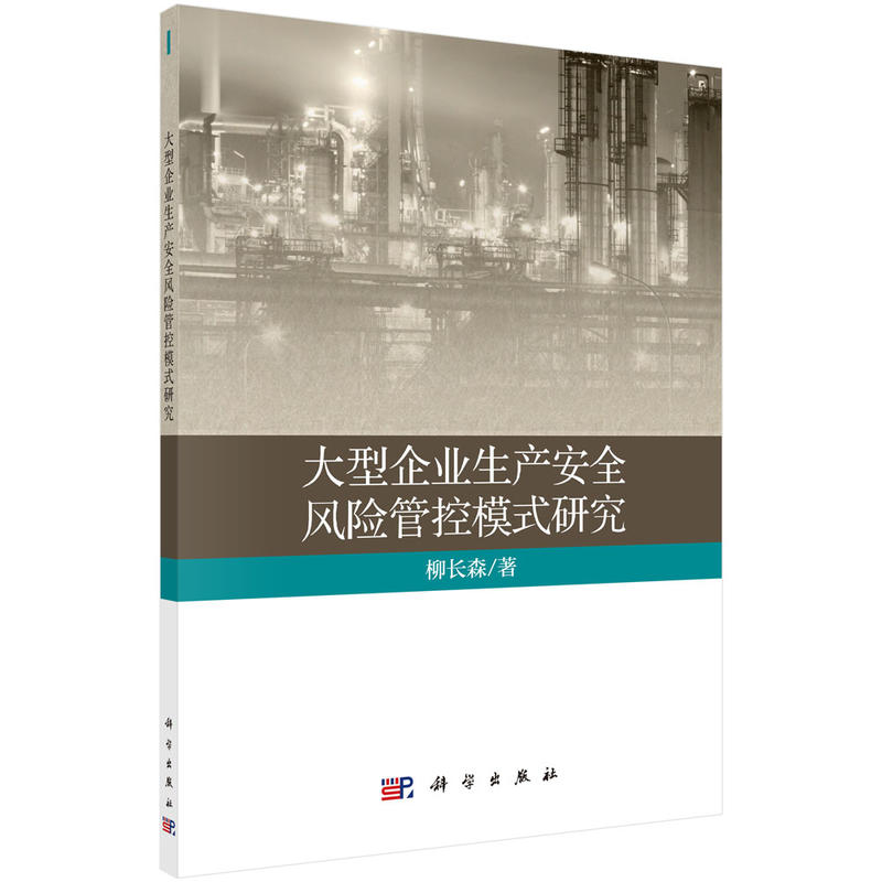 管理、决策与信息系统丛书大型企业生产安全风险管控模式研究