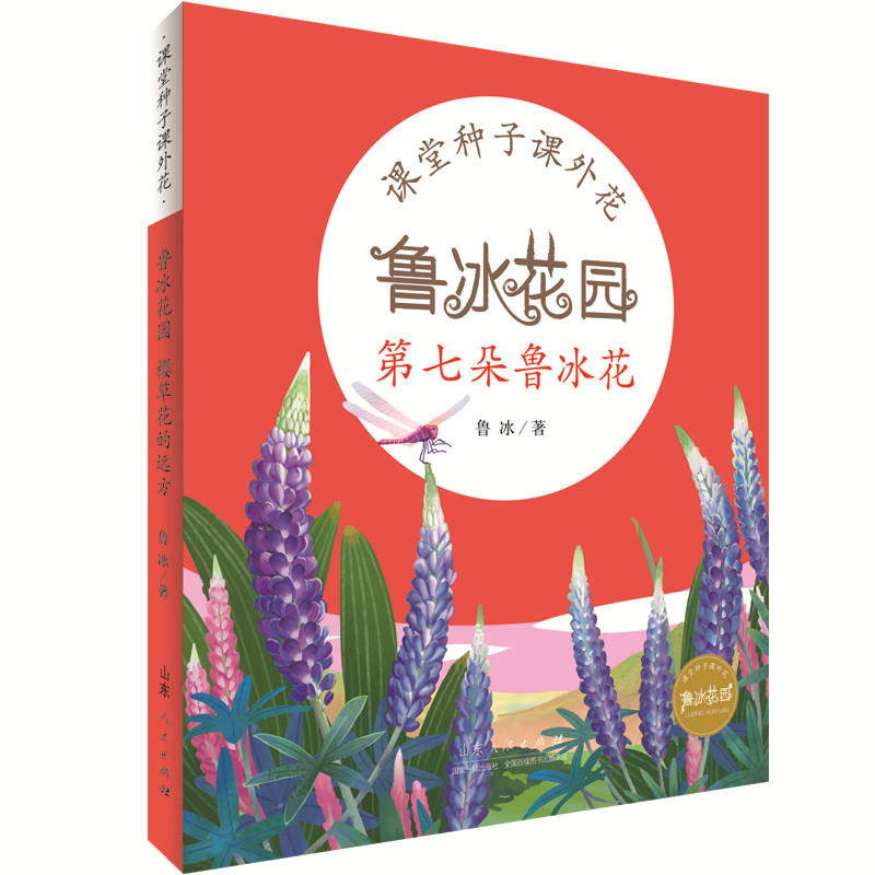 鲁冰花园:第七朵鲁冰花