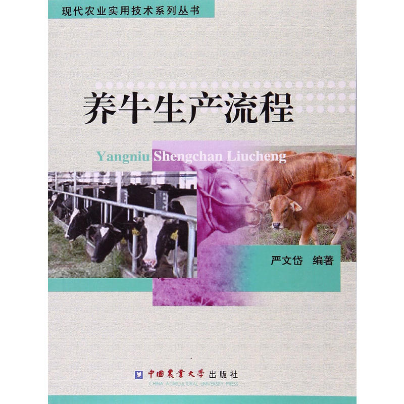 养牛生产流程