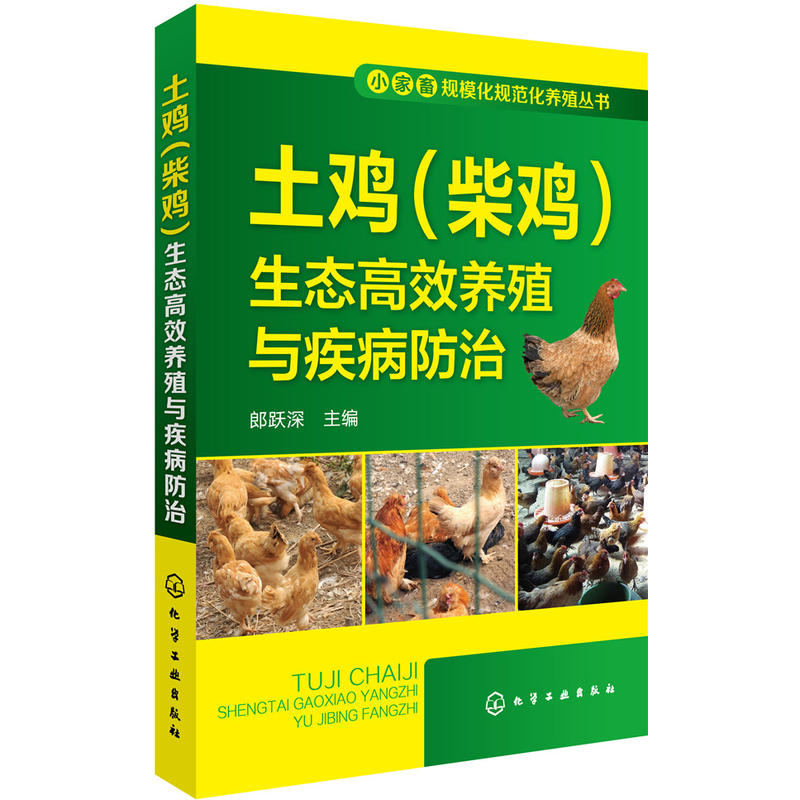 土鸡(柴鸡)生态高效养殖与疾病防治