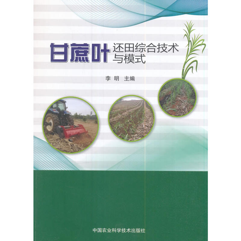 甘蔗叶还田综合技术与模式