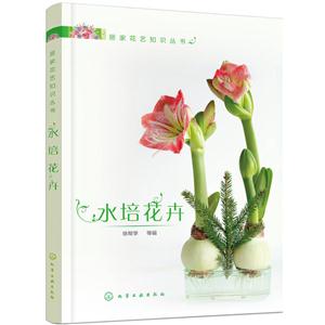 水培花卉-技术教育社区