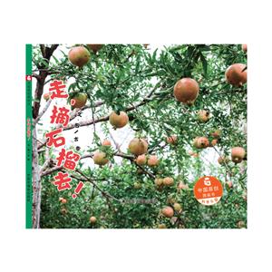 走.摘石榴去!-技术教育社区