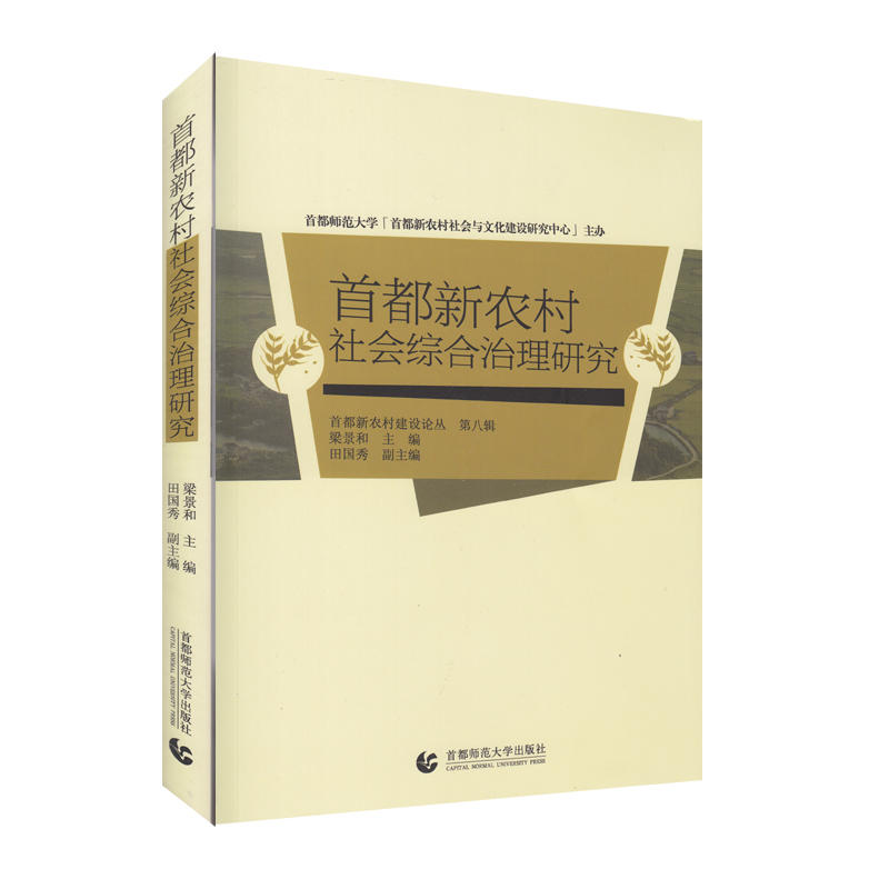 首都新农村社会综合治理研究