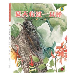 夏天有过一只蝉-技术教育社区