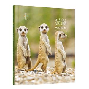 猫鼬-技术教育社区