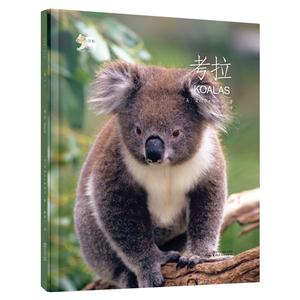 考拉-技术教育社区