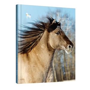 野马-技术教育社区