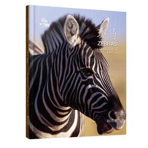 斑马-技术教育社区