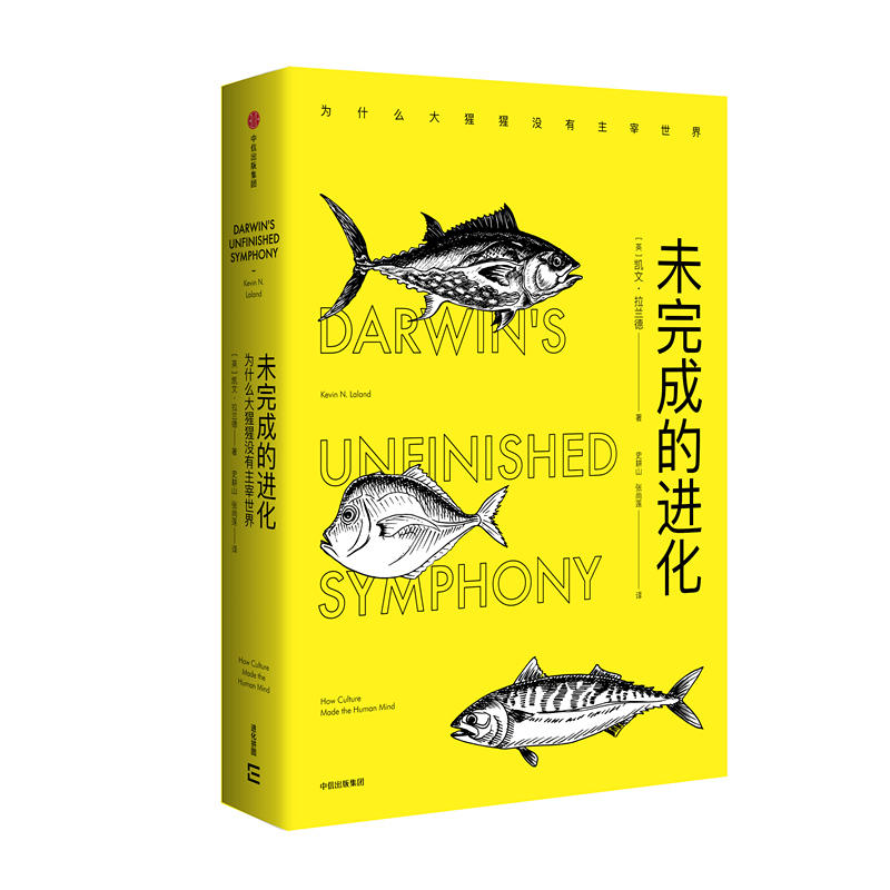 未完成的进化