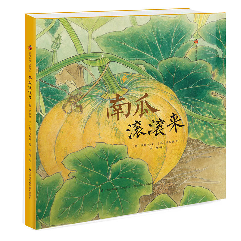 南瓜滚滚来