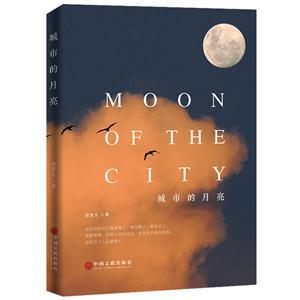 城市的月亮-技术教育社区