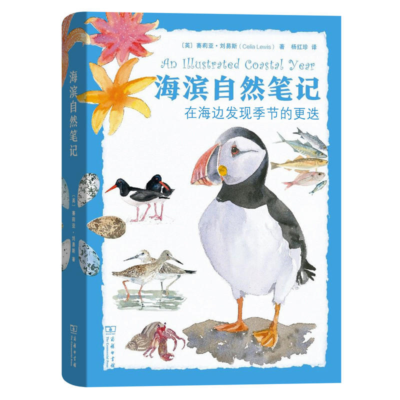 海滨自然笔记-在海边发现季节的更迭