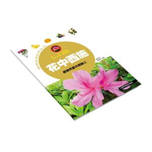 花中西施-技术教育社区