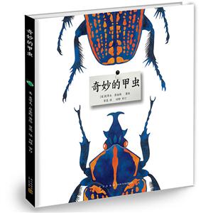 奇妙的甲虫-技术教育社区