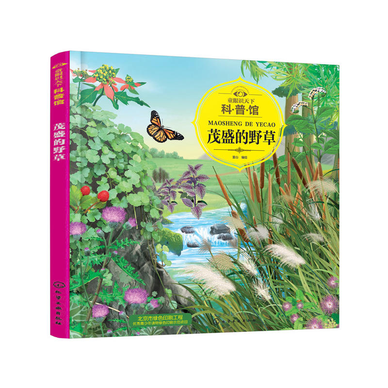 童眼识天下:茂盛的野草