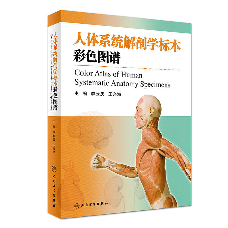 人体系统解剖学标本彩色图谱-第2版