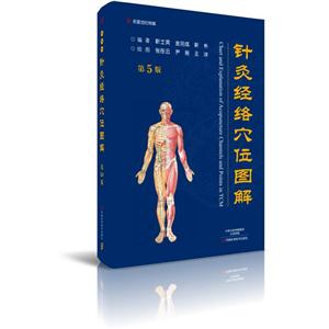 针灸经络穴位图解-技术教育社区