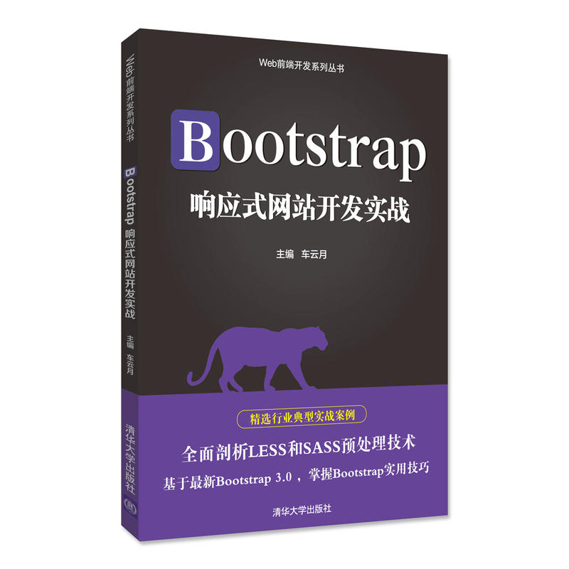Bootstrap响应式网站开发实战