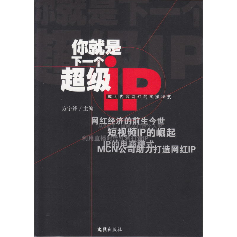 你就是下一个超级IP:成为内容网红的实操秘笈