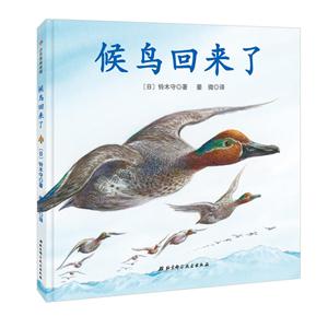 候鸟回来了-技术教育社区