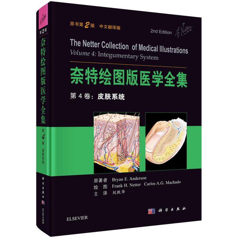第4卷:皮肤系统-奈特绘图版医学全集-原书第2版-中文翻译版