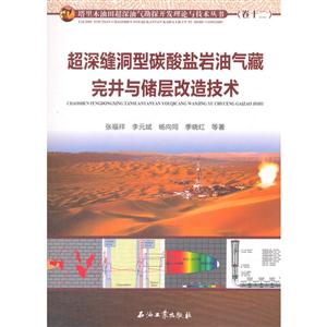 超深缝洞型碳酸盐岩油气藏完井与储层改造技术-技术教育社区