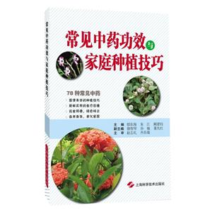 常见中药功效与家庭种植技巧-技术教育社区