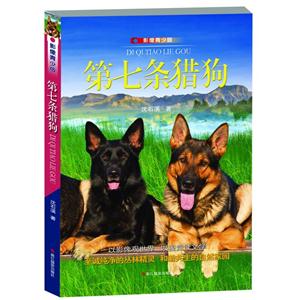 第七条猎狗-影像青少版-技术教育社区
