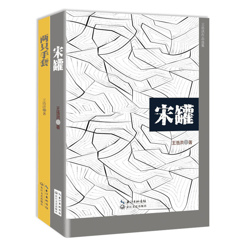 两只手套-宋罐-王浩洪作品选集-(全二册)