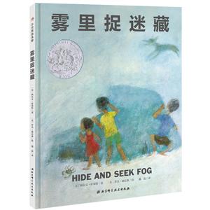 雾里捉迷藏-技术教育社区