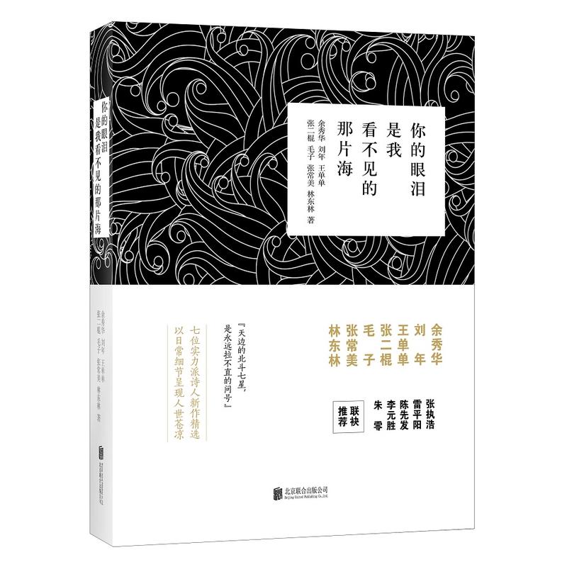 你的眼泪是我看不见的那片海