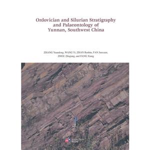 Ordovician and Silurian Stratigraphy and Palaeontology of Yu-技术教育社区