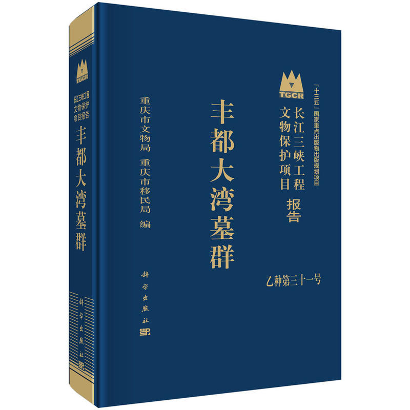 丰都大湾墓群-长江三峡工程文物保护项目报告-乙种第三十一号