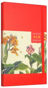 祝大年艺术笔记系列美人蕉-技术教育社区