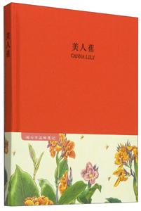 祝大年品味笔记系列美人蕉-技术教育社区