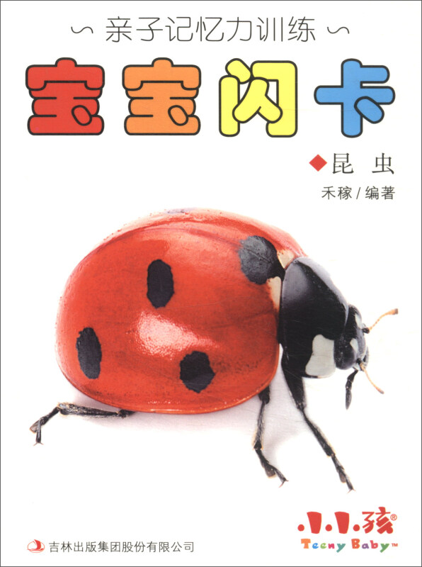 家庭亲子训练:宝宝闪卡昆虫