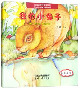 我的小兔子-技术教育社区